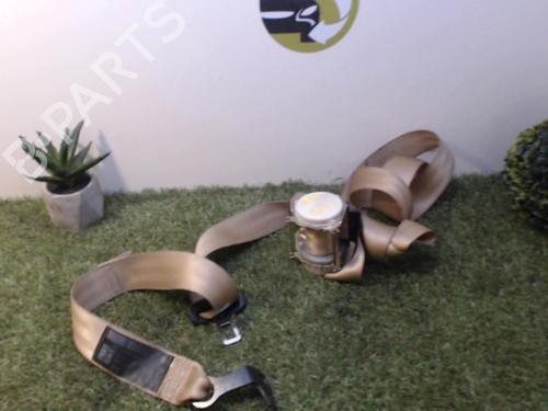 Used Rear left seatbelt VW GOLF PLUS V (5M1, 521) 1.9 TDI (105 hp) 31219207