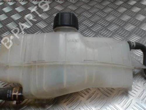 Expansion tank NISSAN MICRA III (K12) 1.2 16V | BP25429378C120