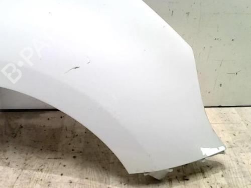 Right front fenders RENAULT SCÉNIC III (JZ0/1_) 1.6 dCi (JZ00, JZ12) | BP26654329C42 
