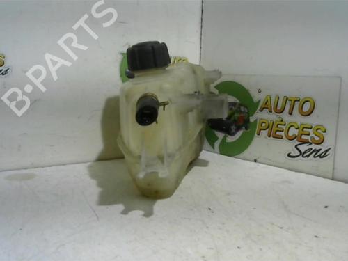 Expansion tank RENAULT CLIO III (BR0/1, CR0/1) 1.5 dCi (C/BR0G, C/BR1G) | BP25398688C120 