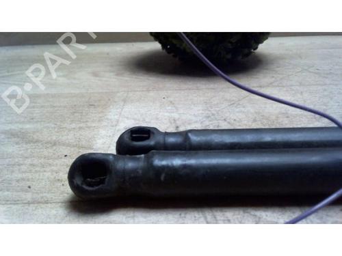 Tailgate lift support CITROËN C3 I (FC_, FN_) 1.4 HDi | BP25411554C138 