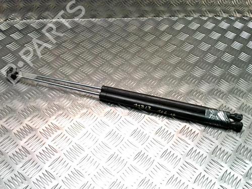 tailgate-lift-support-peugeot-106-ii-1a_-1c_-1996-1997-1998-1999-2000-2001-2002-2003-2004-2005-31237089 main image