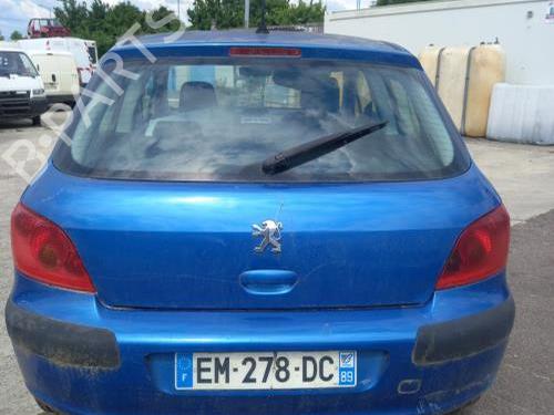 Cerchio PEUGEOT 307 (3A/C) 1.6 16V | BP30808195C45