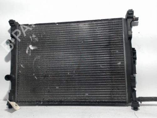 Køler RENAULT MEGANE II (BM0/1_, CM0/1_) 1.9 dCi (BM0G, CM0G) (120 hp) 25400256