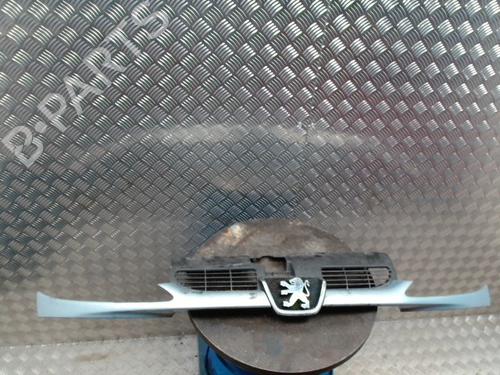 Used Grille PEUGEOT 206 Hatchback (2A/C) 1.4 HDi eco 70 (68 hp) 31977830