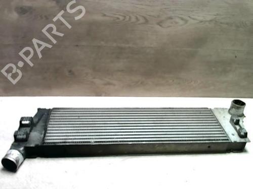 Intercooler RENAULT SCÉNIC II (JM0/1_) 1.5 dCi (JM1E, JM16) | BP31231503M30