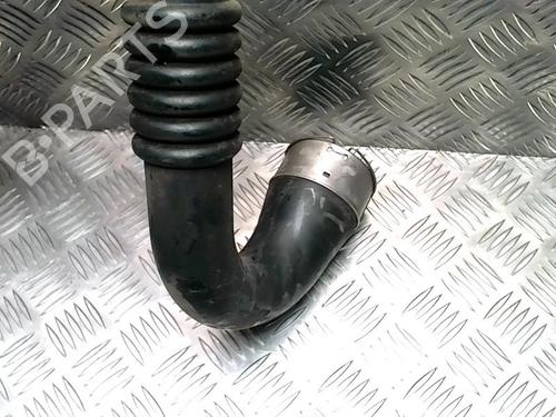 Pipe RENAULT SCÉNIC III (JZ0/1_) 1.6 dCi (JZ00, JZ12) | BP25431465M125