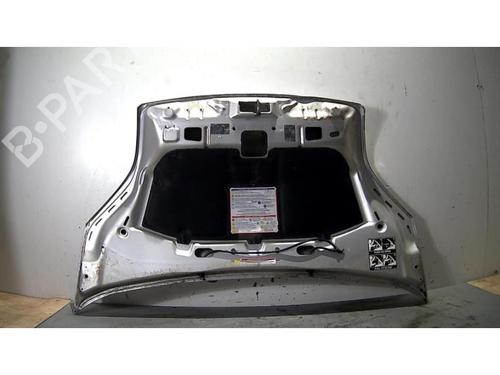 Hood FIAT FIORINO Box Body/MPV (225_) 1.3 D Multijet | BP25410548C1