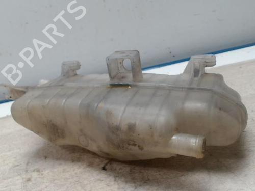 Used Expansion tank RENAULT CLIO III (BR0/1, CR0/1) 1.6 16V (BR05, BR0B, BR0Y, BR15, BR1J, BR1M, BR1Y, CR0B,... (112 hp) 28094998