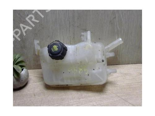 Expansion tank RENAULT MEGANE III Hatchback (BZ0/1_, B3_) 1.5 dCi (BZ09, BZ0D, BZ1W, BZ29, BZ14) | BP25412274C120