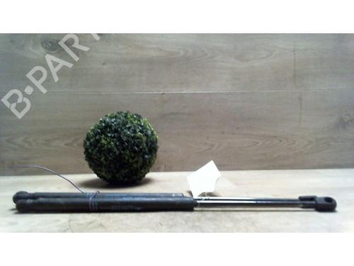 Used Tailgate lift support CITROËN C3 I (FC_, FN_) 1.4 HDi (68 hp) 25411554