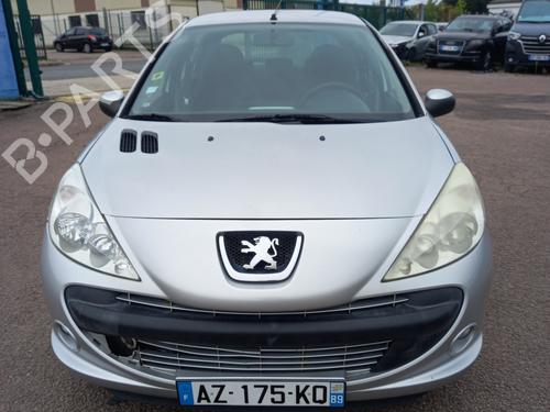 Nummerpladelys PEUGEOT 206+ (2L_, 2M_) 1.4 HDi eco 70 | BP31228152I40