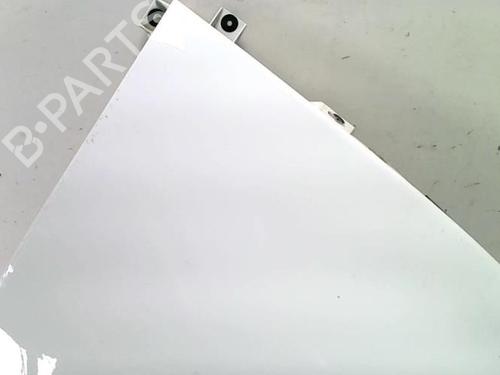 Right front fenders RENAULT SCÉNIC III (JZ0/1_) 1.6 dCi (JZ00, JZ12) | BP26654329C42 
