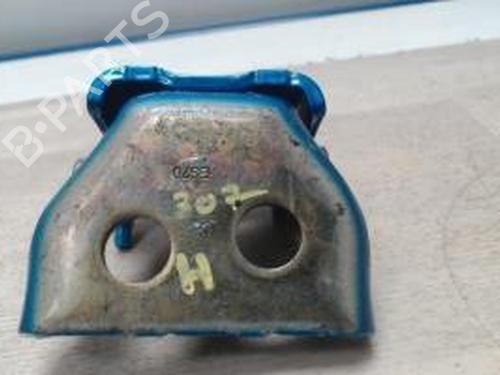 Used Hinge/Door check strap PEUGEOT 307 (3A/C) 2.0 HDi 90 (90 hp) 28157608