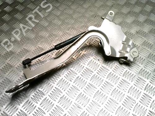 hingedoor-check-strap-renault-grand-scenic-iii-jz01_-2009-2010-2011-2012-2013-2014-2015-2016-25774594 main image