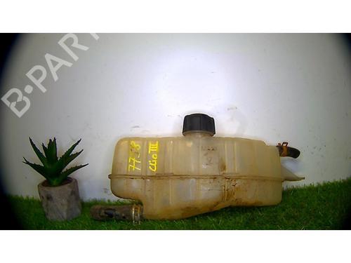 Used Expansion tank RENAULT CLIO III (BR0/1, CR0/1) 1.5 dCi (75 hp) 25384473