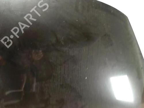 Hood RENAULT SCÉNIC III (JZ0/1_) 1.9 dCi (JZ0J, JZ1J, JZ1K, JZ1S) | BP25421178C1