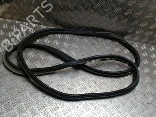 Gummiliste CITROËN C3 III (SX) 1.6 BlueHDi 75 (75 hp) 30816324