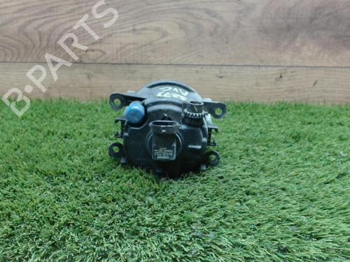 Nebelscheinwerfer links für RENAULT KANGOO Express (FW0/1_) 1.5 dCi 90 (FW0G, FW05, FW08, FW11) (90 hp) 31230655