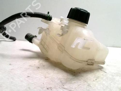 Expansion tank RENAULT MEGANE III Hatchback (BZ0/1_, B3_) 1.5 dCi | BP25428225C120