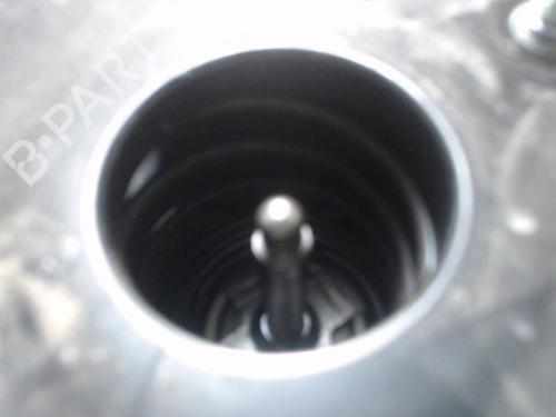 Used Servo brake RENAULT SCÉNIC III (JZ0/1_) 1.5 dCi (106 hp) 25386251