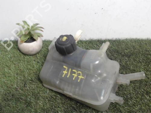 Used Expansion tank RENAULT GRAND SCÉNIC III (JZ0/1_) 1.5 dCi (JZ09, JZ0D, JZ10, JZ14, JZ1G, JZ29, JZ2C) (110 hp) 25393643