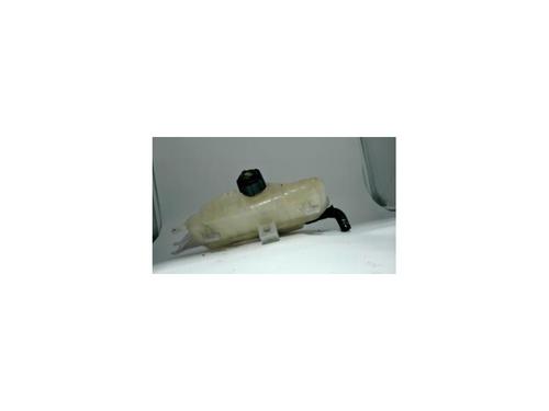 Used Expansion tank RENAULT CLIO III Grandtour (KR0/1_) 1.5 dCi (KR0F) (86 hp) 25430874