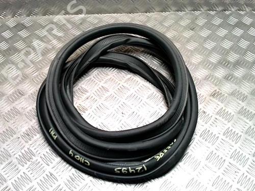 Gummiliste RENAULT CLIO IV (BH_) 1.5 dCi 75 (75 hp) 31811811