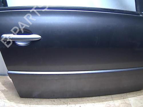Right front door RENAULT MEGANE II (BM0/1_, CM0/1_) 1.9 dCi | BP28721428C3