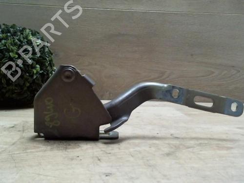 Hinge/Door check strap LANCIA MUSA (350_) 1.3 D Multijet (350.AXB11, 350.AXB1A) | BP25410098C146 