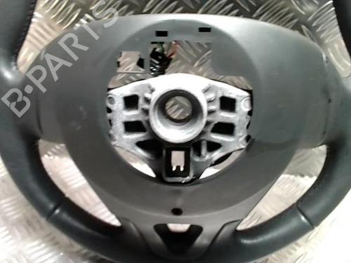 Rat RENAULT SCÉNIC III (JZ0/1_) 1.5 dCi | BP30796947C49