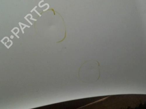 Hood RENAULT KANGOO Express (FW0/1_) 1.5 dCi 85 (FW0K, FW0L, FW0B) | BP29159712C1 