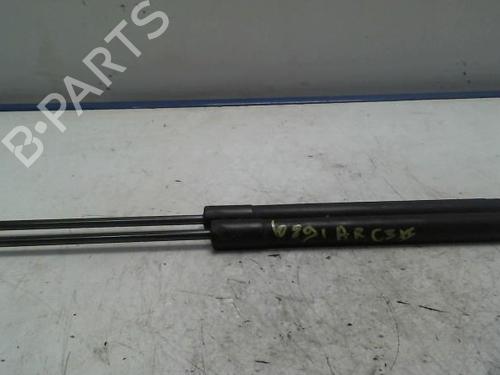 Gasdæmper bagklap CITROËN C3 II (SC_) 1.4 HDi 70 (SC8HZC, SC8HR0, SC8HP4) (68 hp) 31223263