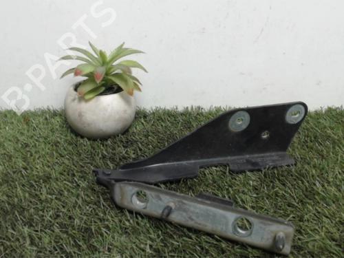 Hinge/Door check strap CITROËN C3 Pluriel (HB_) 1.6 | BP25393951C146 