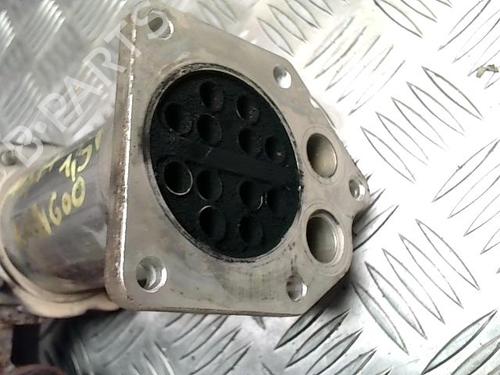 Egr RENAULT KANGOO Express (FC0/1_) 1.5 dCi | BP25833494M69 