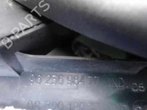Front left interior door handle PEUGEOT 206 Hatchback (2A/C) 1.6 i | BP25389641I13 