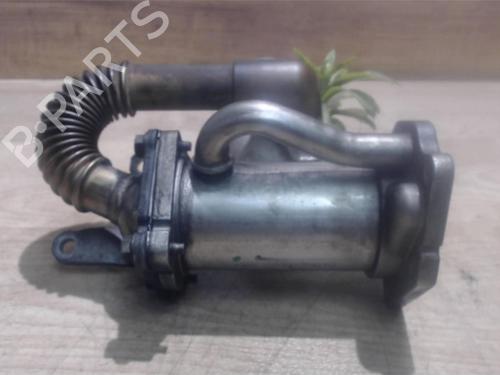 Used Egr RENAULT KANGOO (KC0/1_) 1.5 dCi (68 hp) 25411610