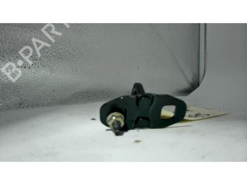 Hinge/Door check strap RENAULT CLIO IV (BH_) 1.5 dCi 90 | BP25430841C146 