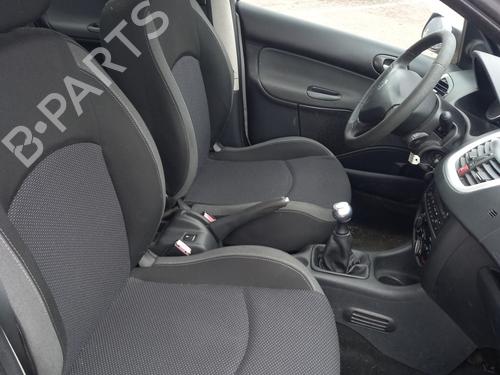 Nummerpladelys PEUGEOT 206+ (2L_, 2M_) 1.4 HDi eco 70 | BP31228152I40