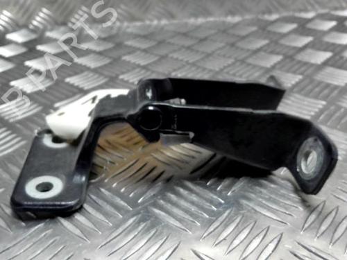 Hinge/Door check strap RENAULT KANGOO Express (FW0/1_) 1.5 dCi 75 (FW07, FW10, FW04) | BP26197989C146 