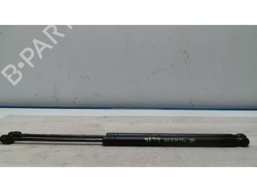 Used Tailgate lift support RENAULT SCÉNIC II (JM0/1_) 1.5 dCi (JM1E, JM16) (106 hp) 25419026