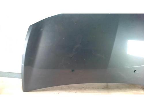 Hood RENAULT CLIO III (BR0/1, CR0/1) 1.5 dCi (BR17, CR17) | BP25416361C1 