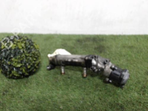 Egr PEUGEOT 407 Coupe (6C_) 2.7 HDi | BP25392926M69