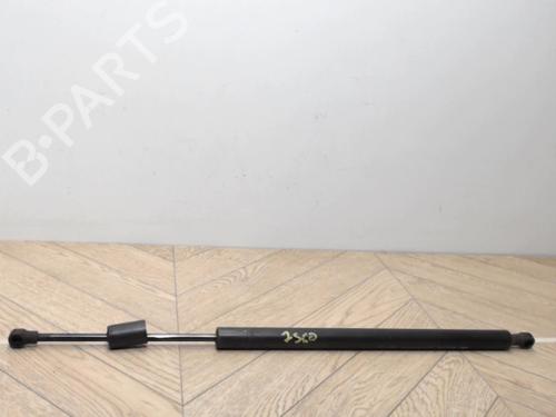 tailgate-lift-support-renault-modus-grand-modus-fjp0_-2004-25388326 main image