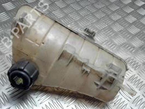 Used Expansion tank RENAULT KANGOO Express (FW0/1_) 1.5 dCi 75 (FW07, FW10, FW04) (75 hp) 26187994