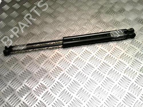 tailgate-lift-support-renault-megane-iv-grandtour-k9amn_-2016-25841237 main image