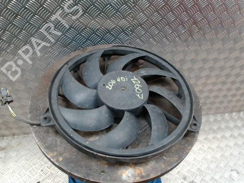 Ventola abitacolo PEUGEOT 206 Hatchback (2A/C) 1.4 HDi eco 70 (68 hp) 31974166