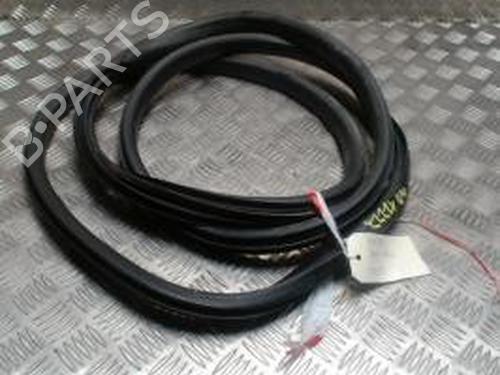 Gomma contorno porta RENAULT GRAND SCÉNIC III (JZ0/1_) 1.6 dCi (JZ00, JZ12) (130 hp) 30531598