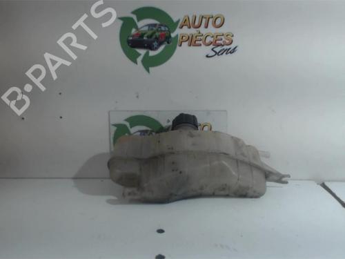 Used Expansion tank RENAULT CLIO III (BR0/1, CR0/1) 1.5 dCi (C/BR0G, C/BR1G) (68 hp) 25398259