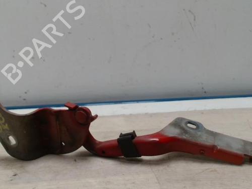 Used Hinge/Door check strap RENAULT CLIO III (BR0/1, CR0/1) 1.5 dCi (BR17, CR17) (86 hp) 25419603
